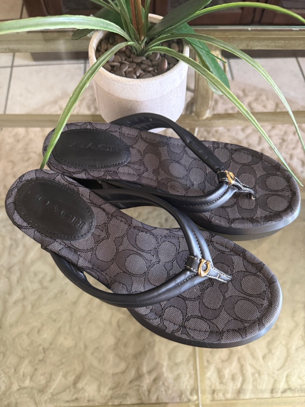 Coach Brown/Black Signature Flip Flop Sandals with Gold Accent
